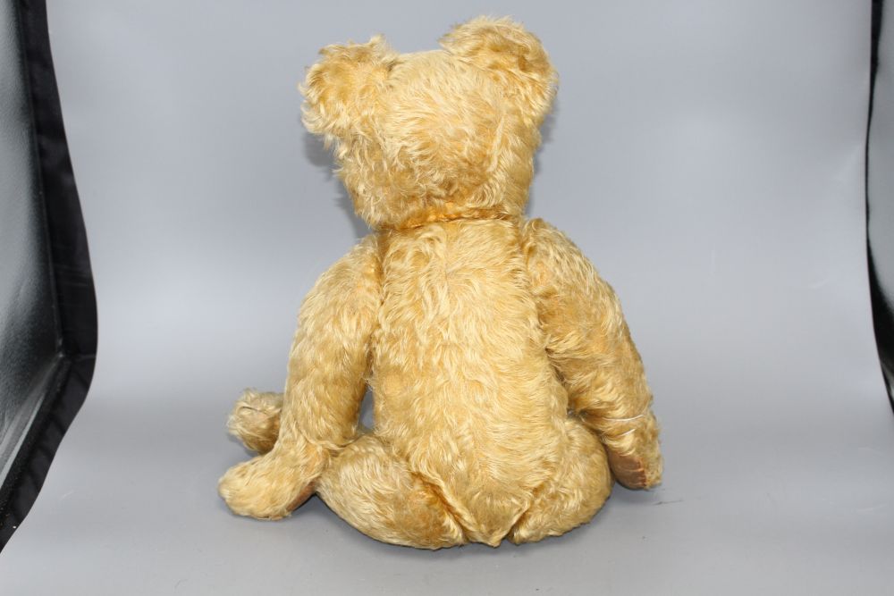 An Alpha Farnell bear, c.1950, 20in., original paw pads, one damaged, glass eyes, slight thinning to front and back of body